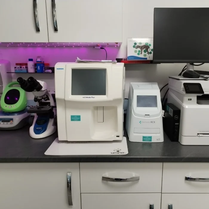 Centro veterinario en Córdoba Centro Veterinario Sphynx (4)